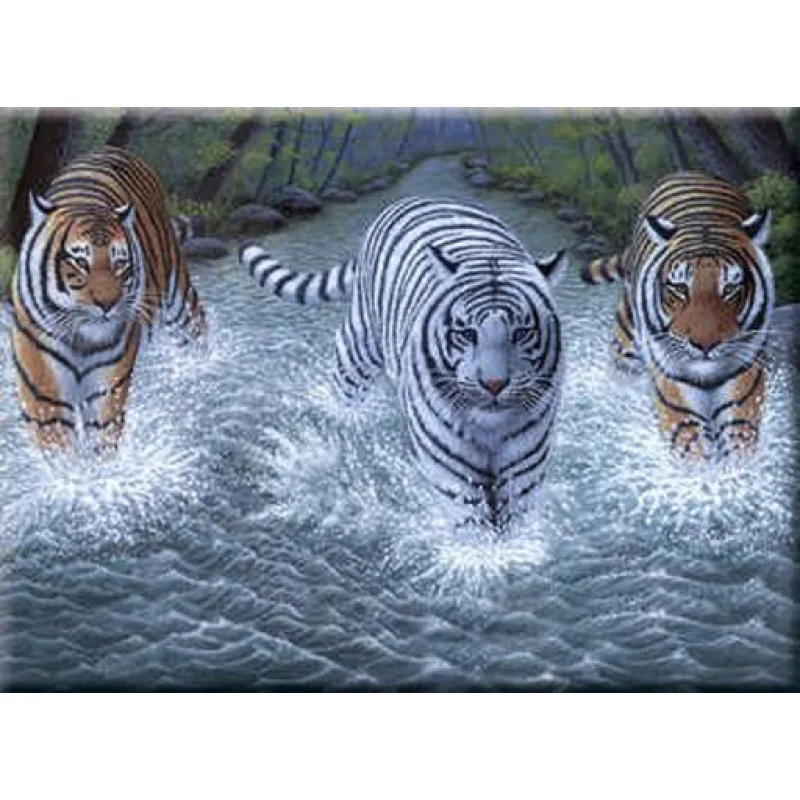 Royal Langnickel Malování podle čísel - Tři Tygři, 40x30 cm