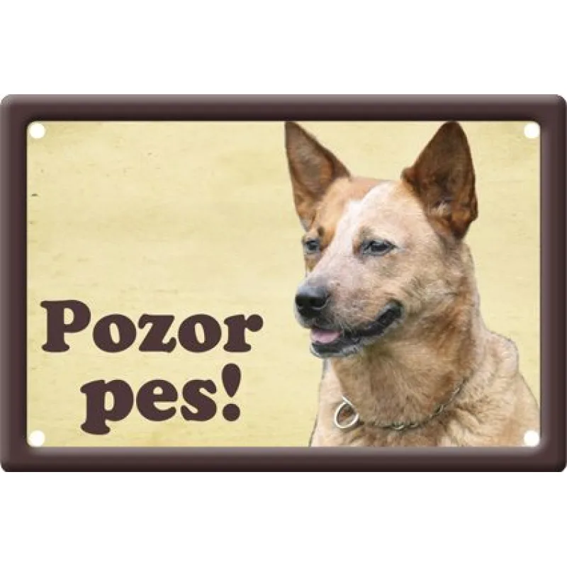 Plechová psí cedule, Australský honácký pes, Pozor pes
