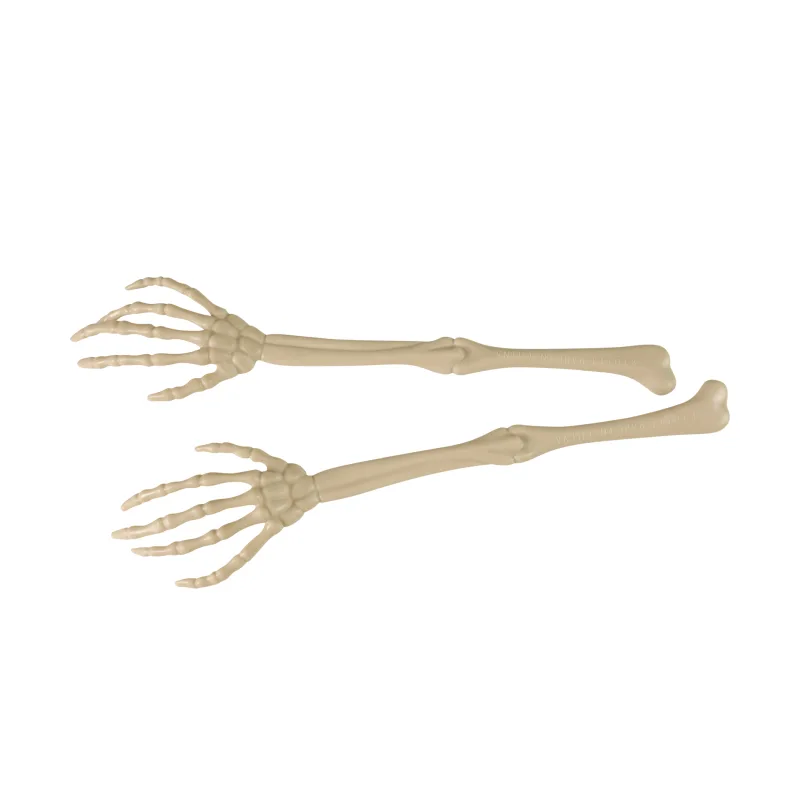 Rappa Dekorace kostra ruky 2 ks