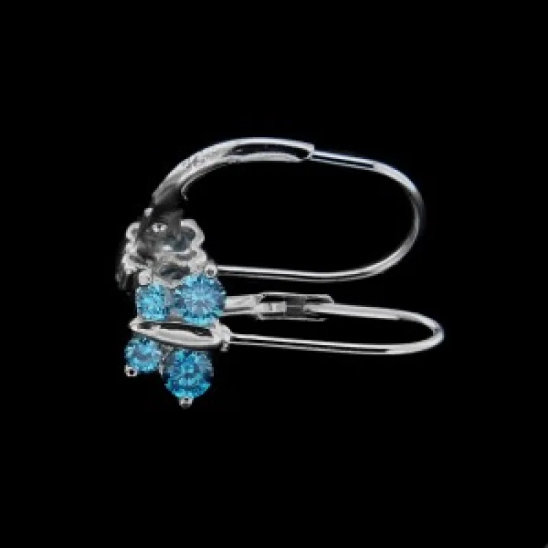 Strieborné náušnice s klasickým zapínaním KA E1725 LB