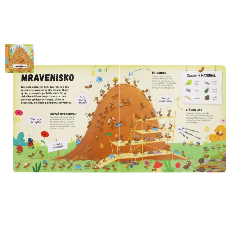 Albatros Kniha Čo sa deje v mravenisku SK verzia 23x23cm