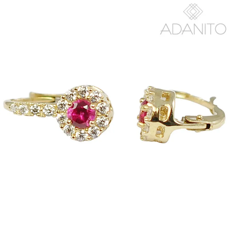 Zlaté náušnice s červeným kameňom a zirkónmi ADANITO BRN0024GR