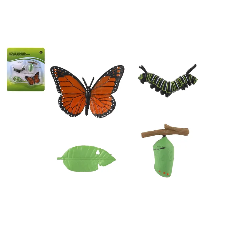 Teddies Vývoj motýľa babôčky plast 4ks na karte 19,5x22,5x2,5cm