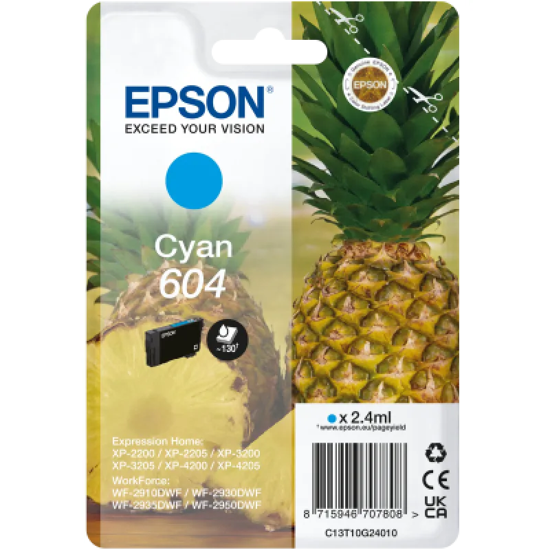 EPSON Singlepack Cyan 604 Ink C13T10G24010