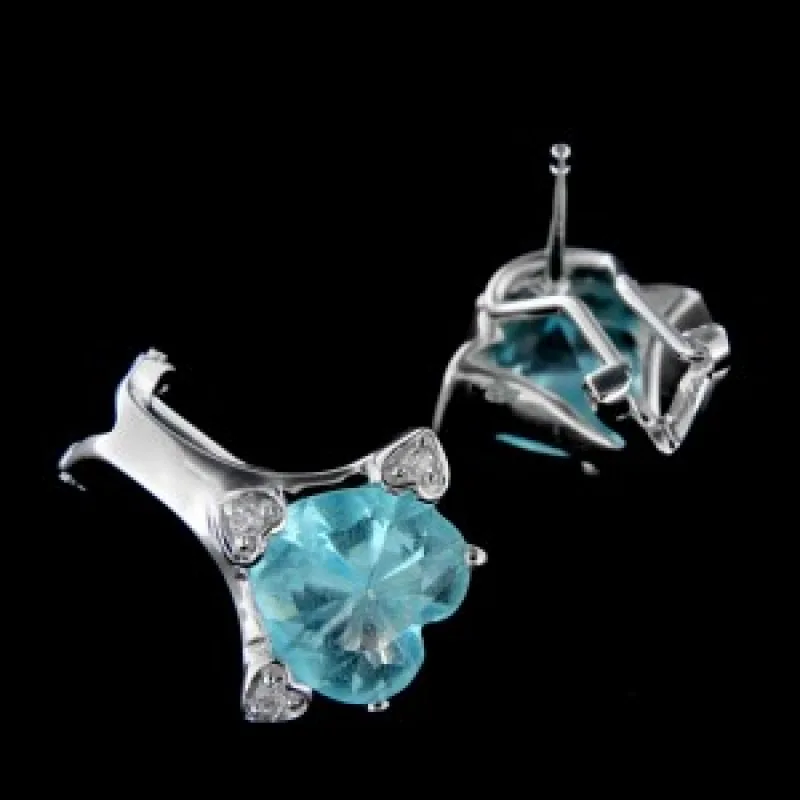 Strieborné náušnice s klasickým zapínaním KA E181 B