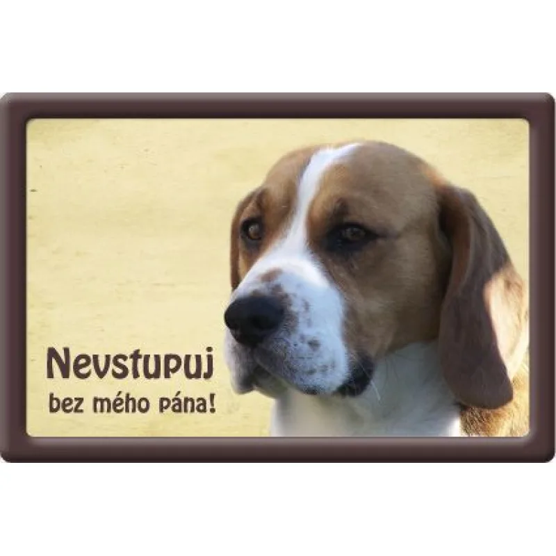 Plechová psí cedule, Bígl, Nevtupuj bez mého pána!
