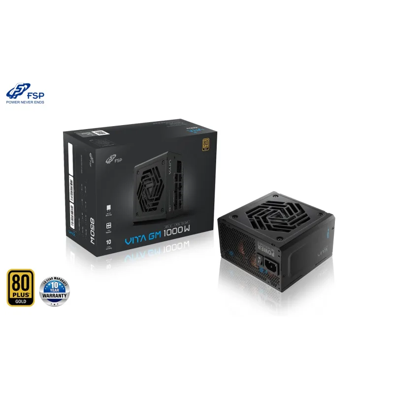 FSP VITA GM/1000W/ATX 3.1/80PLUS Gold/Modular/Retail PPA10A4002