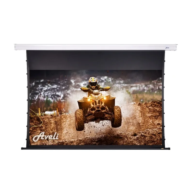 Nástěnné plátno AVELI PREMIUM,black,265x149(16:9) 120" XRT-00285