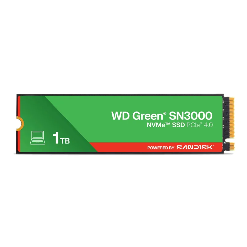 SANDISK WD Green SN3000 POWERED BY SANDISK/1TB/SSD/M.2 NVMe/3R WDS100T4G0E