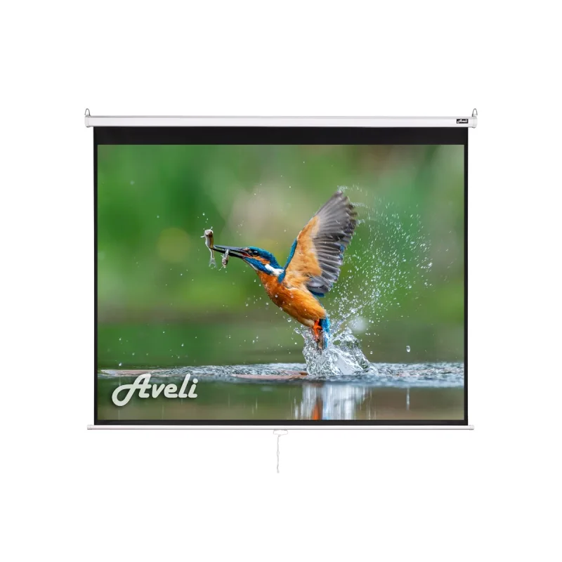 AVELI Nástěnné projekční plátno AVELI, 200x150cm (4:3) 98" XRT-00105