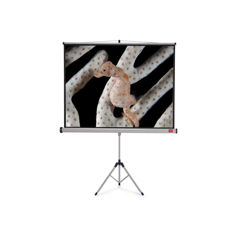 NOBO Wall Screen š150 x v114 -matný bílý,4:3 1902391