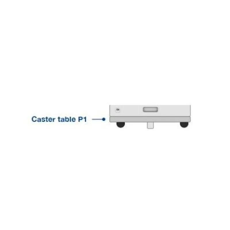 Epson Caster Table-P1 C12C936851