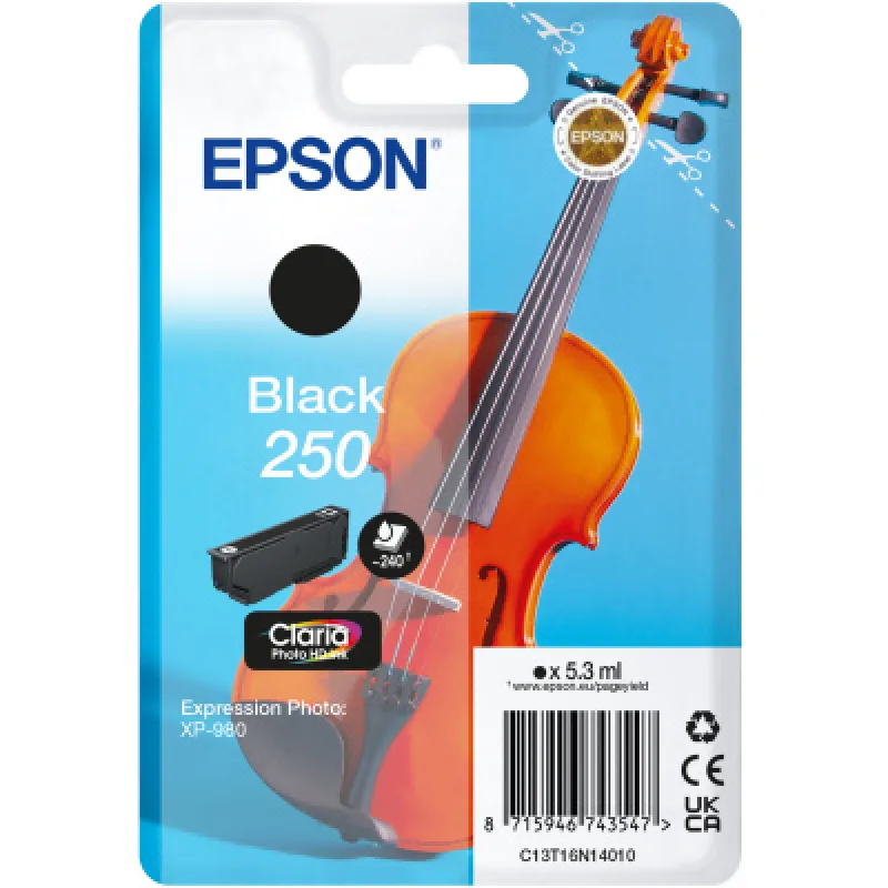 Epson Singlepack Black 250 ink C13T16N14010