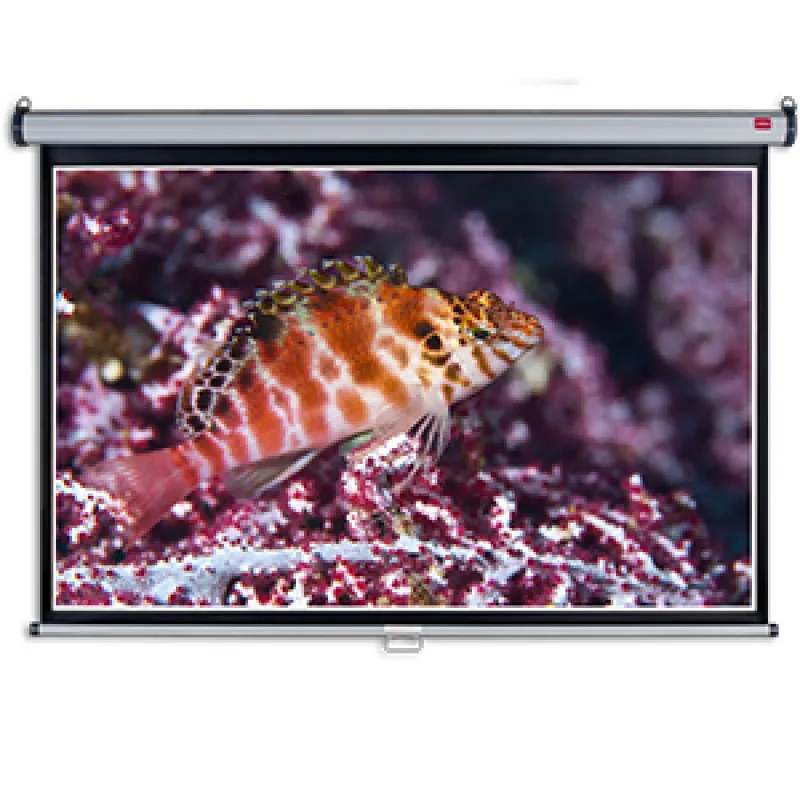 NOBO Nástěnné projekční plátno NOBO, 200x135cm (16:10) 1902393W