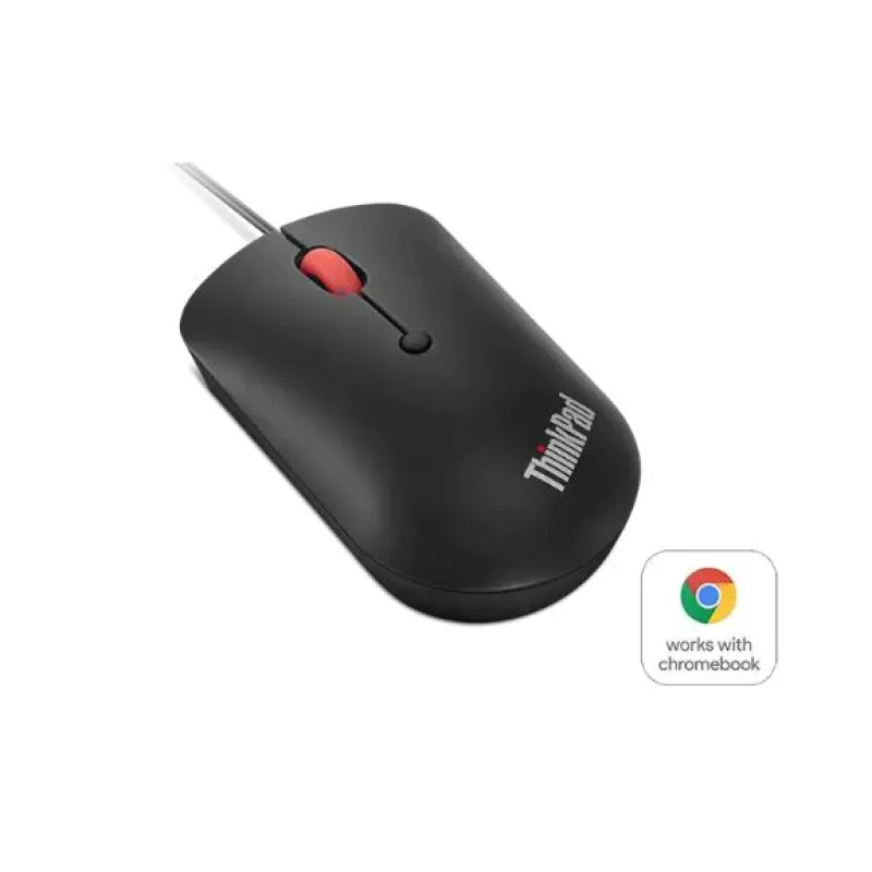 Lenovo ThinkPad/Cestovní/Optická/2 400 DPI/Drátová USB-C/Černá 4Y51D20850