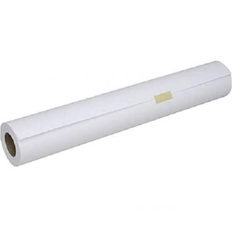 Epson Traditional Photo Paper 24" x 15m C13S045055