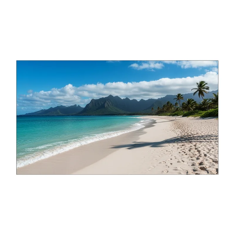 SHARP/NEC 55" LED SHARP UN553V,1920x1080,IPS,24/7,500cd 60006189