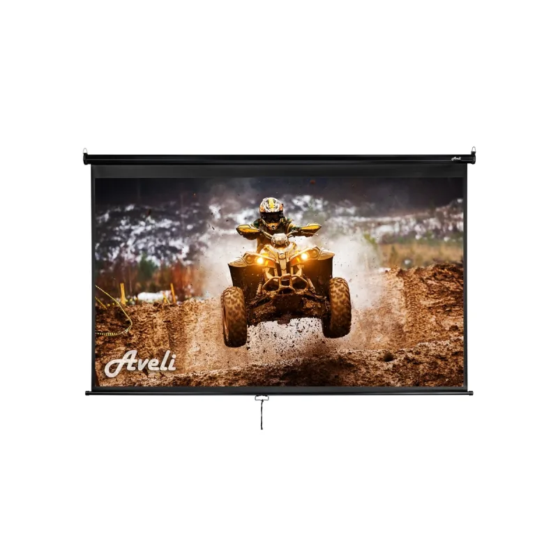 AVELI Nástěnné projekční plátno AVELI, 265x149cm (16:9) 120", černý tubus XRT-00085B