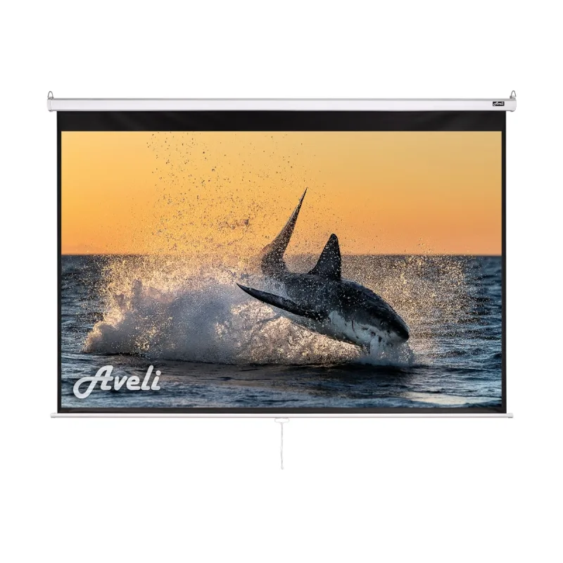 AVELI Nástěnné projekční plátno AVELI, 200x125cm (16:10) 92" XRT-00106