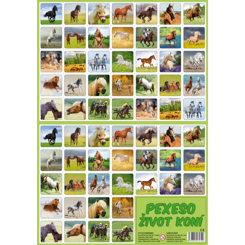 Rappa Pexeso Život koní