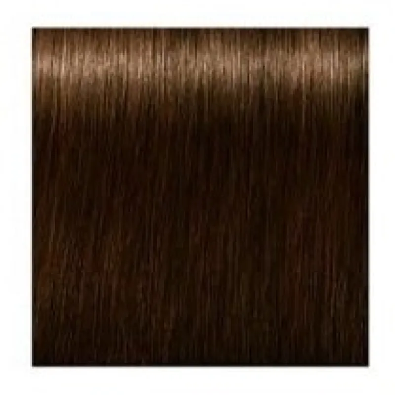 SCHWARZKOPF Igora Royal Absolutes 60ml - stredne hnedá prírodná zlatá 4-50