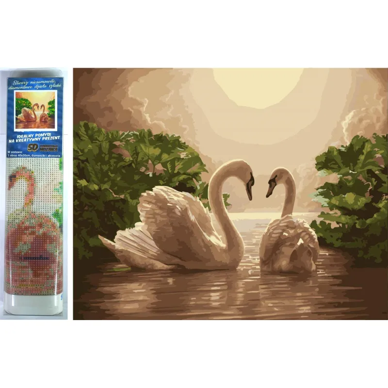 Norimpex Diamantové maľovanie Labutia pieseň 40x30cm