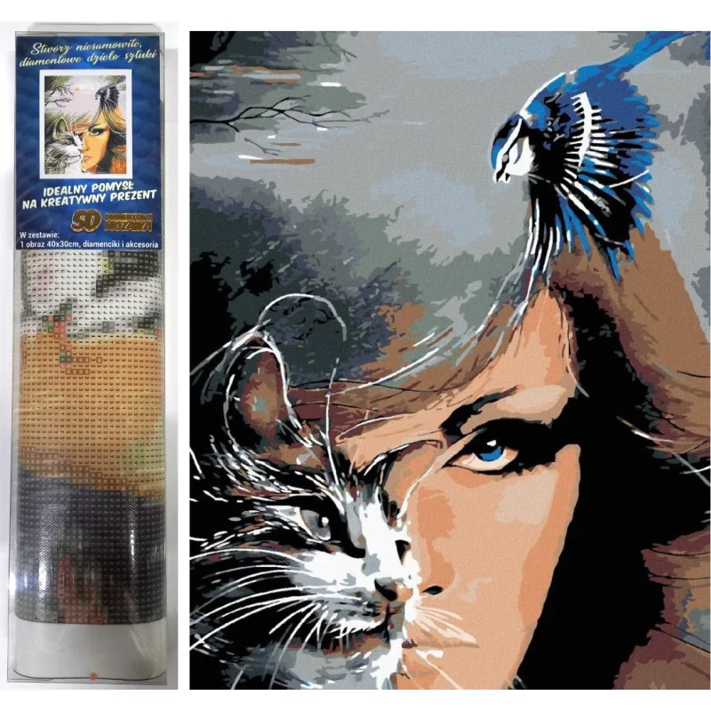 Norimpex Diamantové maľovanie Mačací pohľad 40x30cm