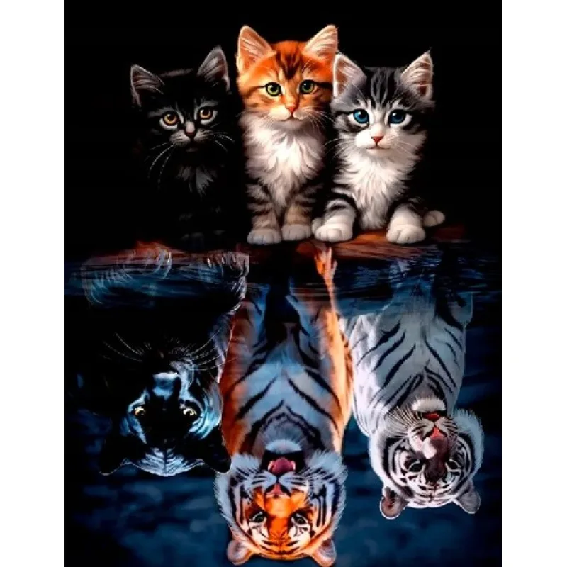 Diamantové maľovanie Norimpex 40x30 cm My sme veľké mačky