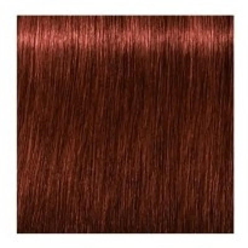 SCHWARZKOPF Igora Royal Absolutes 60ml - svetlo hnedá prírodná červená 5-80