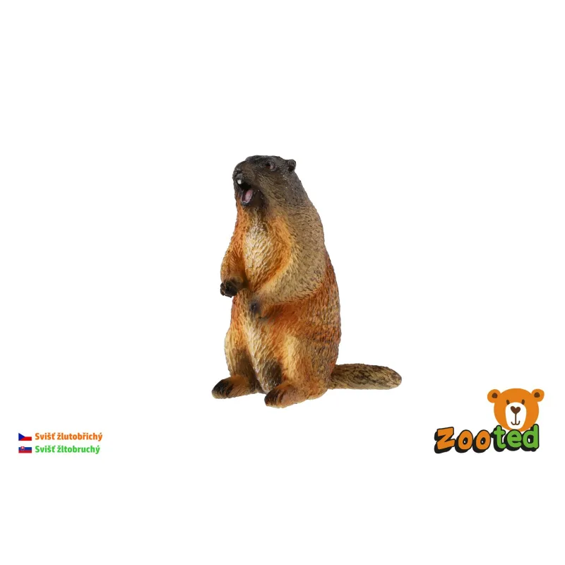 ZOOted Svišť žltobruchý zooted plast 8cm v sáčku