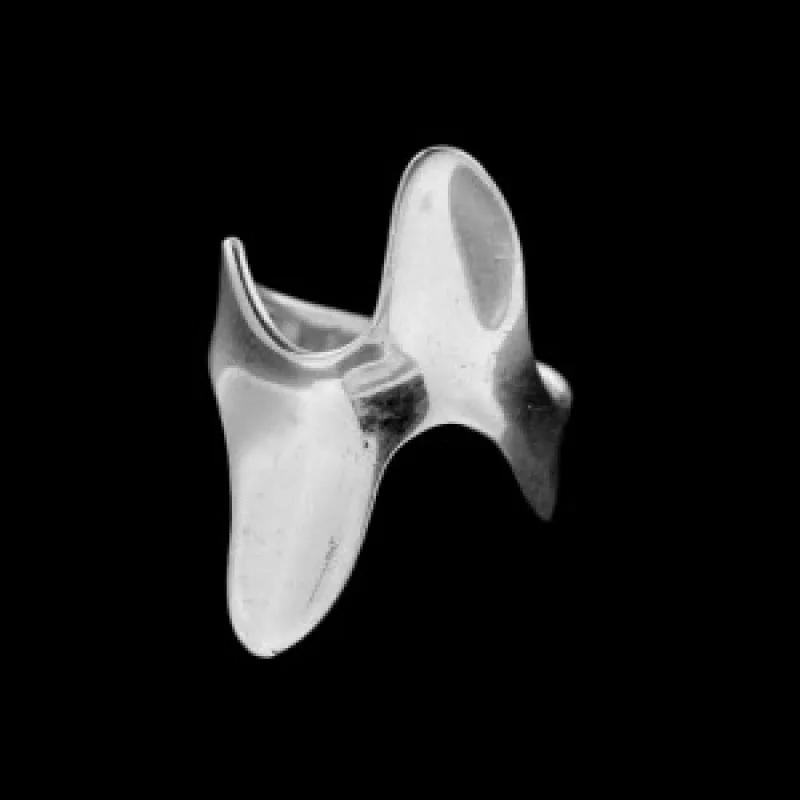 Strieborný prsteň KA R435, 53