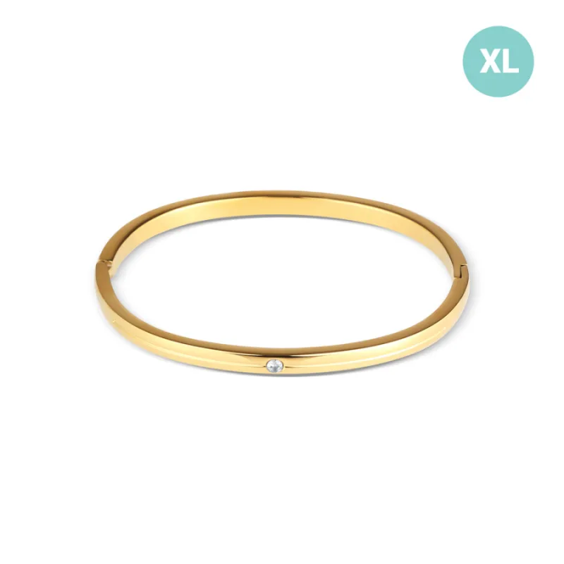 Pozlátený pevný náramok z chirurgickej ocele XL JVD SSSB0095XI8GOXL