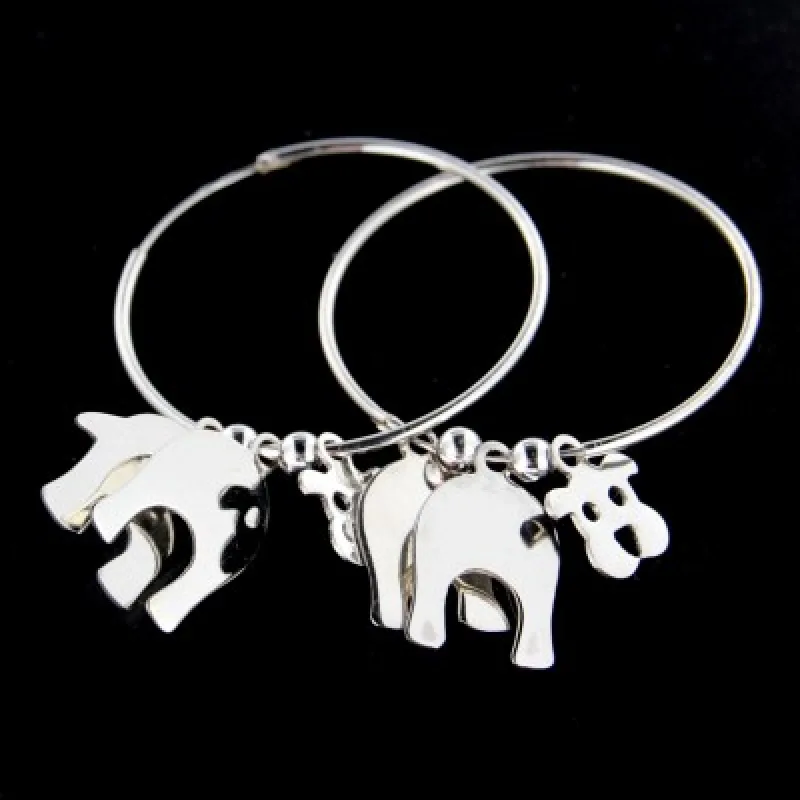 Strieborné náušnice krúžky KA E557RH