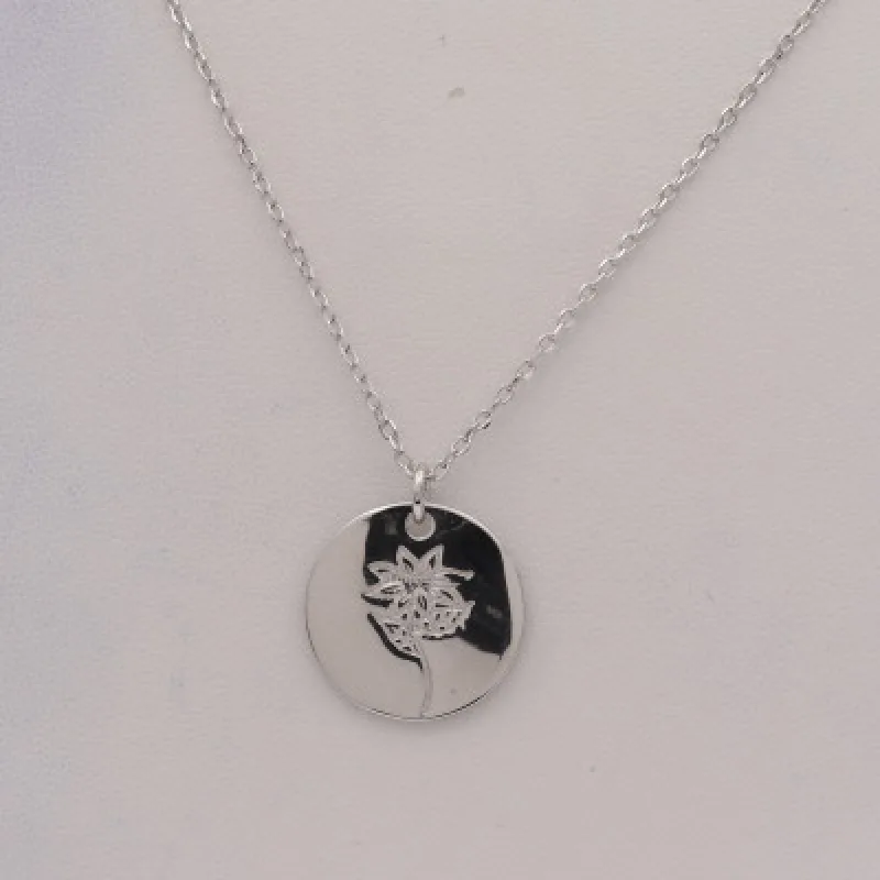 Strieborný náhrdelník KA B1412